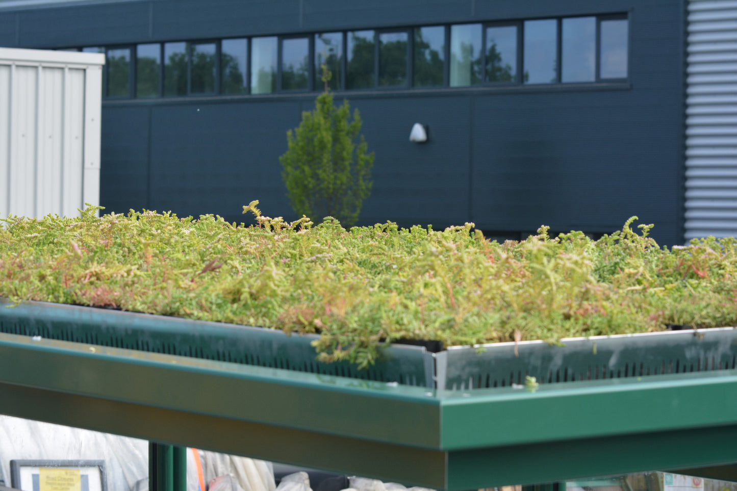 aluminium edge strip on bus shelter green roof