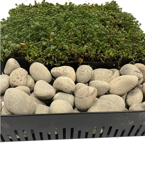 How to finish the edge your green roof perfectly