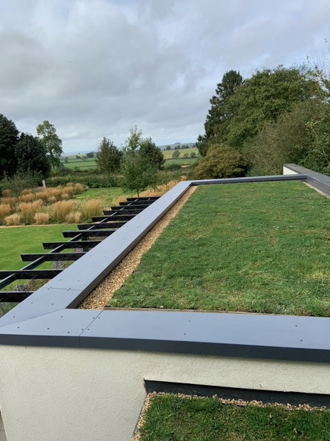 a sedum roof on white building