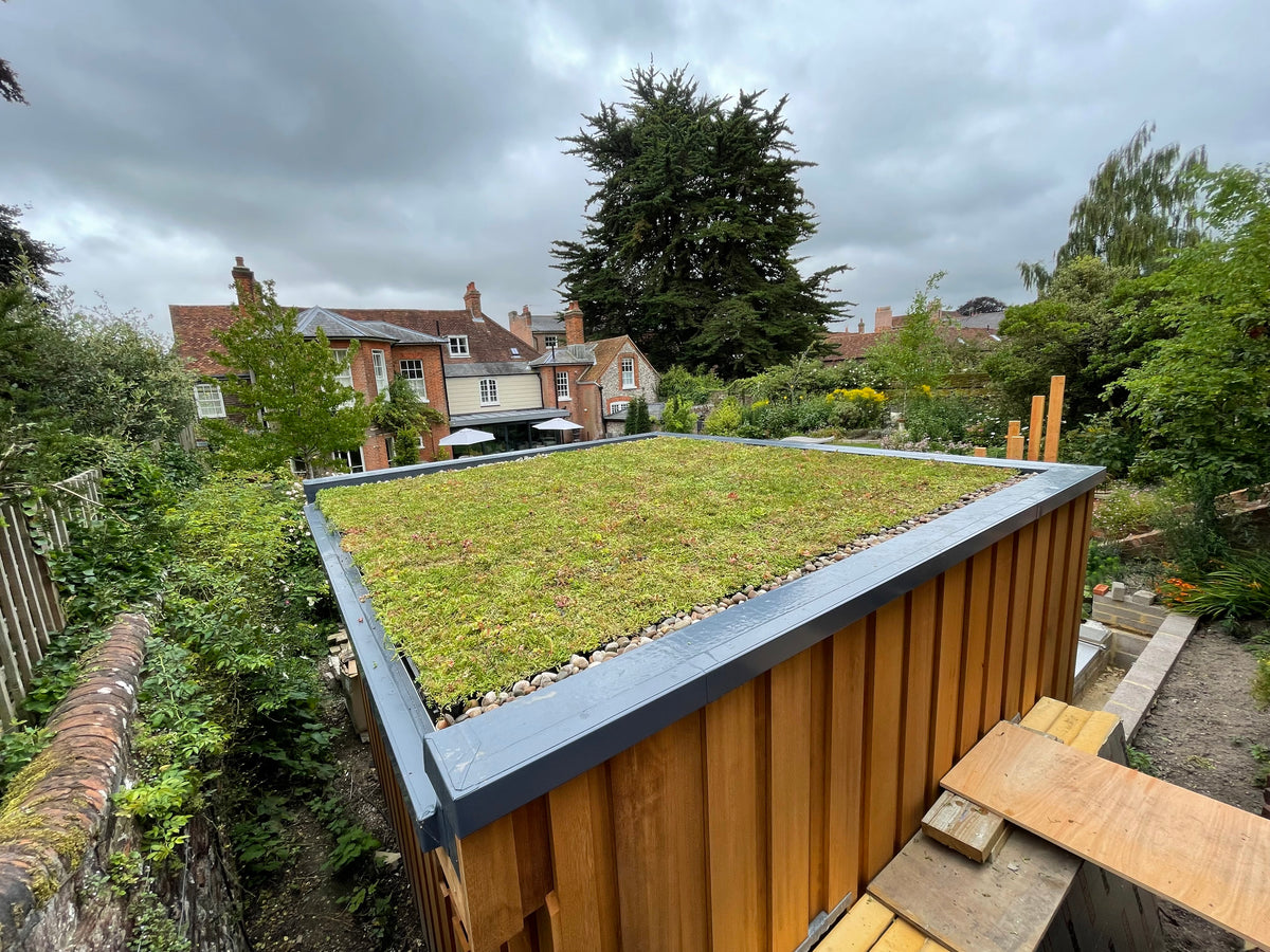 Green seed roof on a wooden building