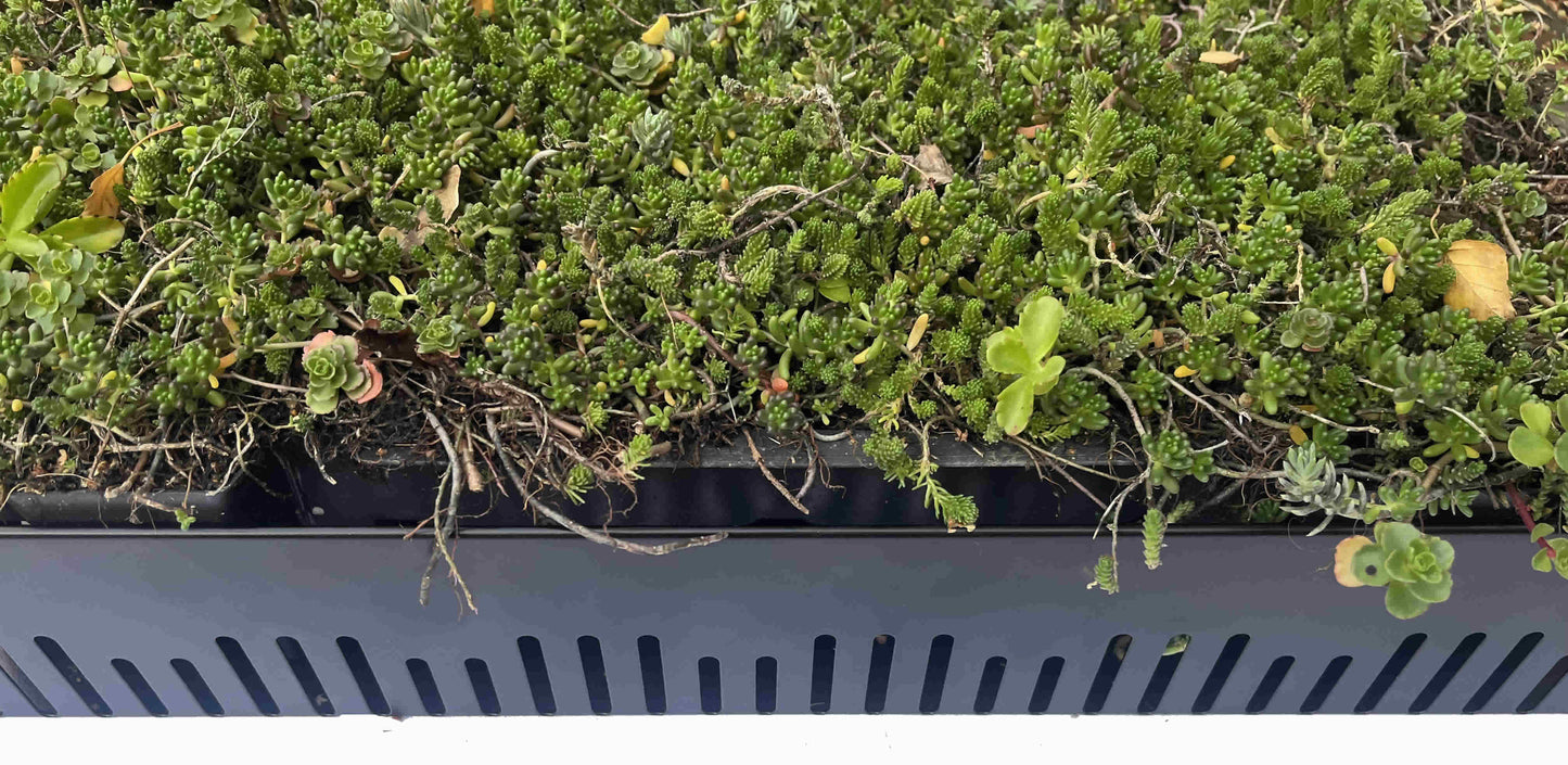 Aluminium Edge Strip Black 80mm x 1m