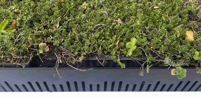 Aluminium Edge Strip Black 80mm x 1m