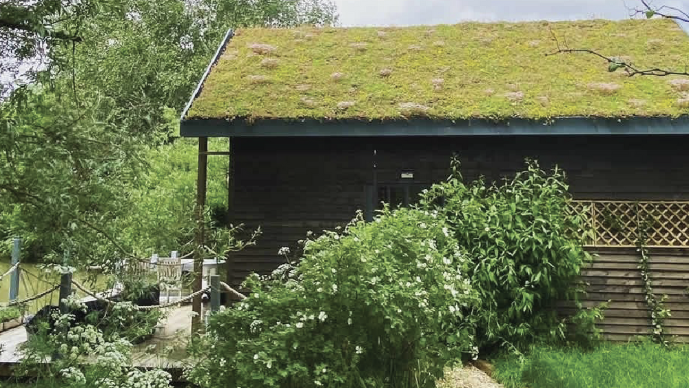 Wooden cabin with a green moss roof surrounded by trees and plants