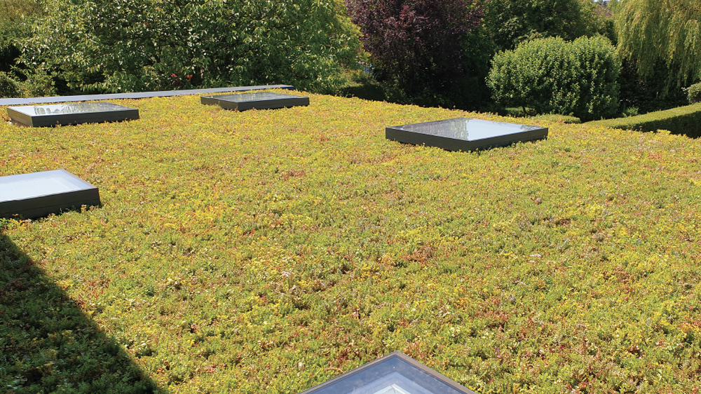 Green roof with embedded lights and plants, surrounded by trees and shrubs.