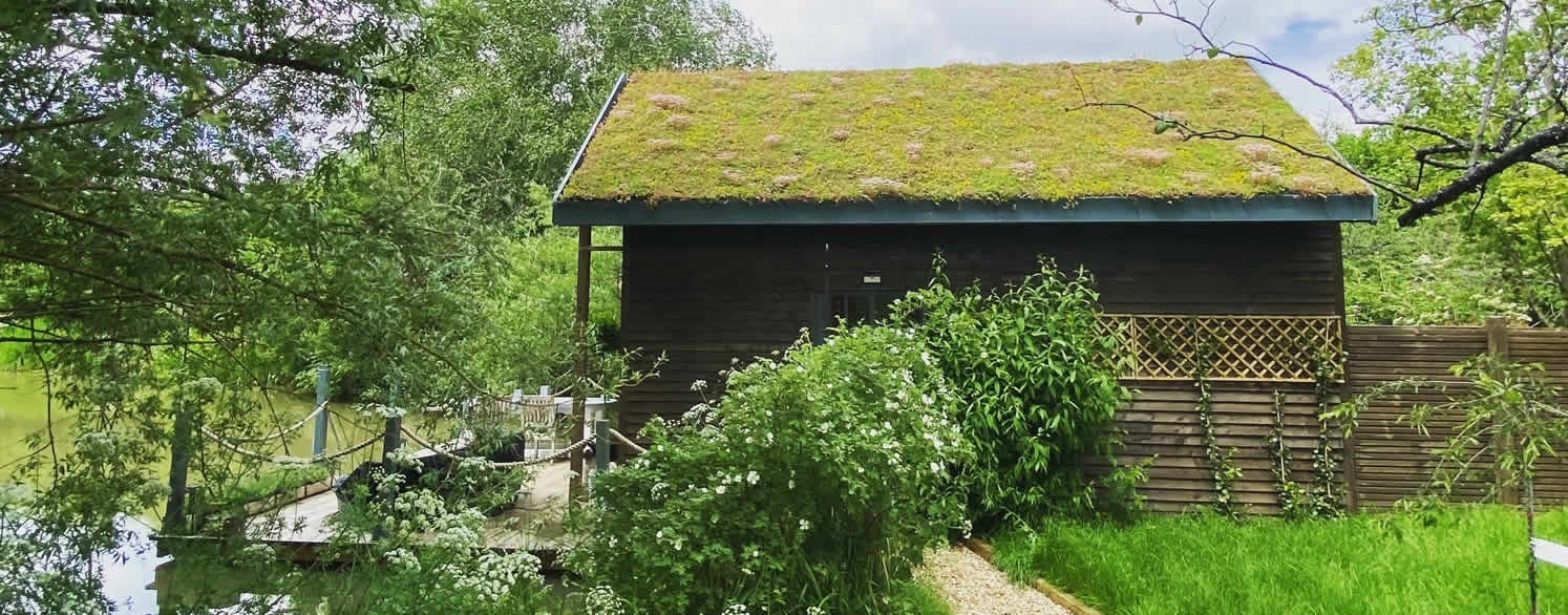 Sedum Green Roof from Greenrooftops