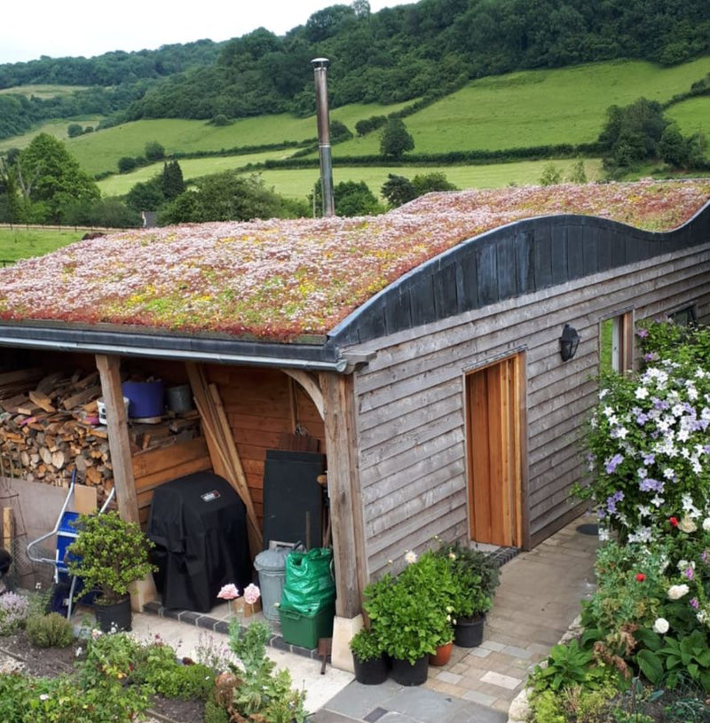 A photo of aceta roof on an outhouse