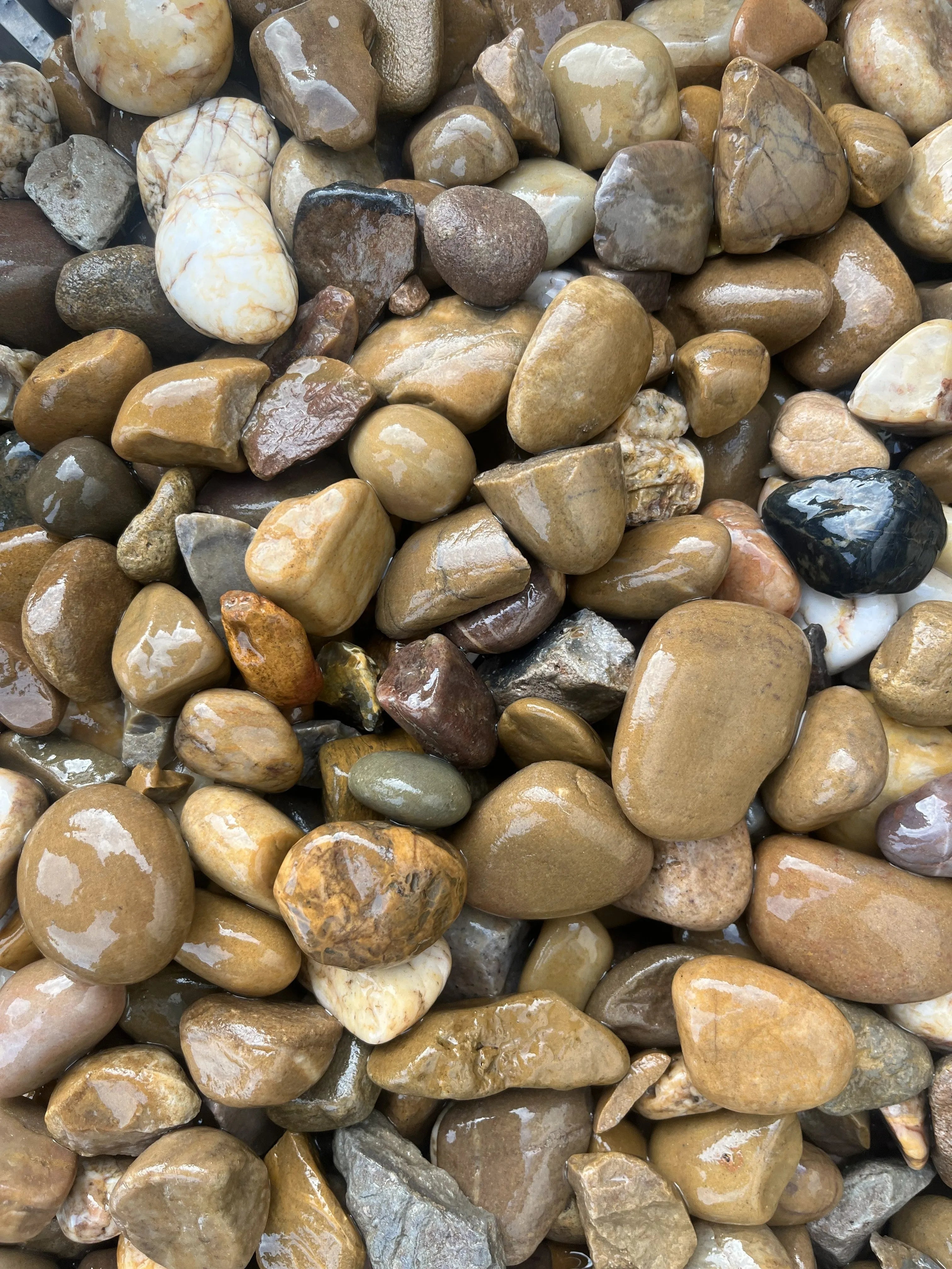Pebbles x 20kg – Green Rooftops