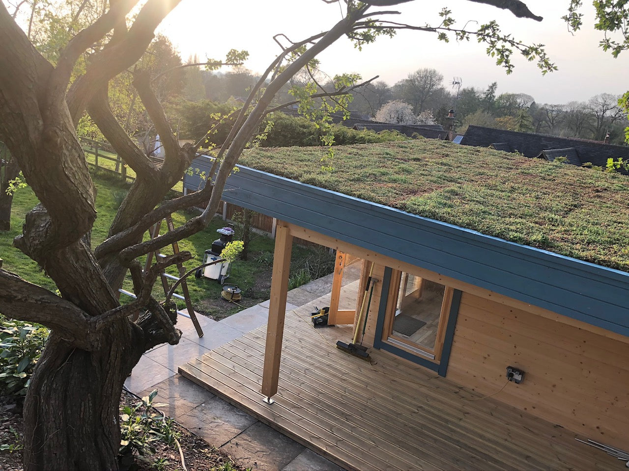 Roof with sedum blanket system complete on a roof