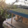 Roof with sedum blanket system complete on a roof
